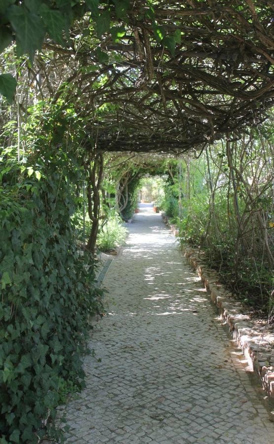 Canavial Garden (Adults Only) Lagos Luaran gambar